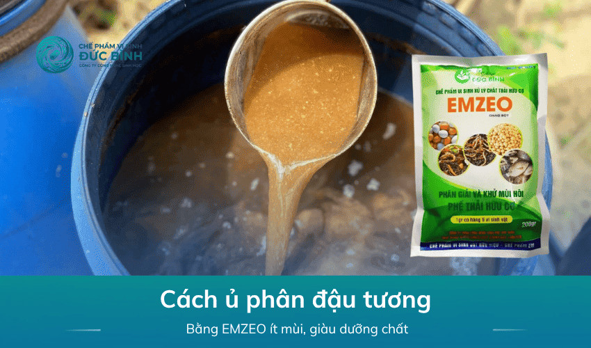 Cách ủ phân đậu tương không hôi bón cây