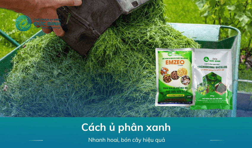 Cách ủ phân xanh nhanh hoai, bón cây hiệu quả