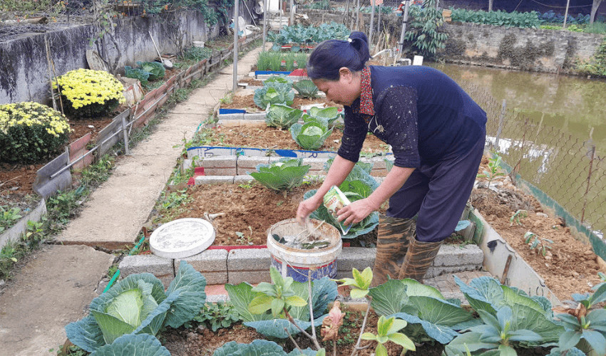 Sử dụng EMZEOn giúp rác thải hữu cơ phân hủy nhanh và giảm mùi hôi đặc trưng