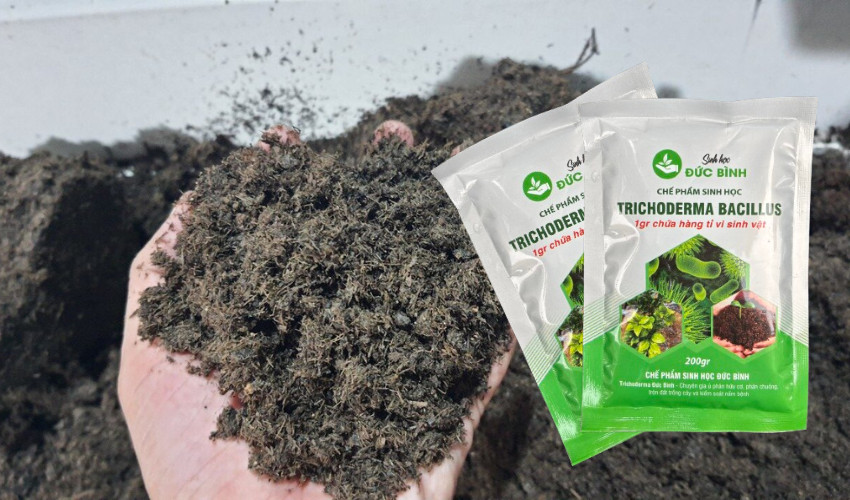 Duy trì độ ẩm ổn định từ 45-55% sẽ giúp nấm Trichoderma hoạt động ổn định