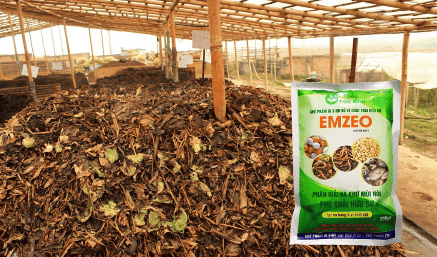 Dùng EMZEO ủ rác thải vừa bảo vệ môi trường vừa tăng năng suất trồng trọt