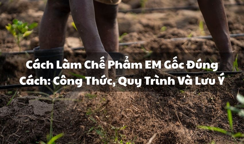 avt cach lam che pham em goc