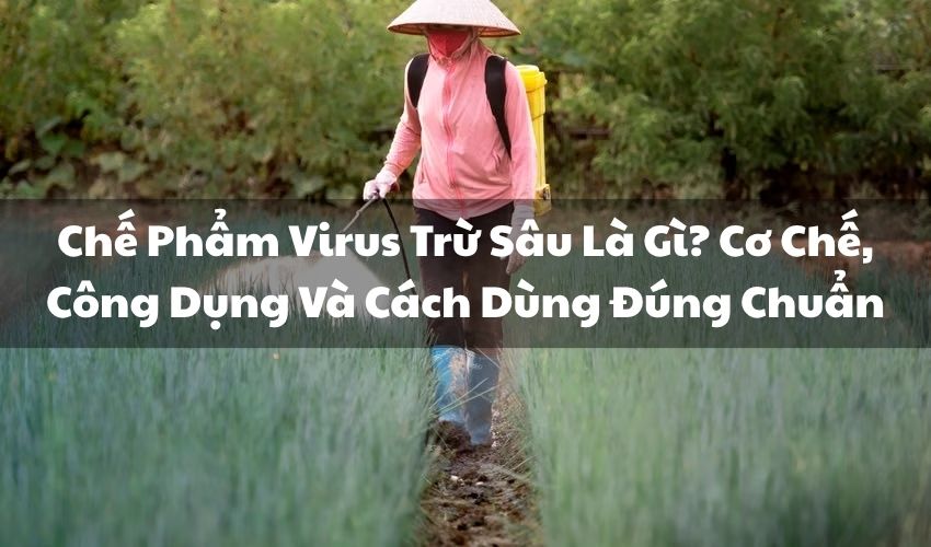 avt che pham virus tru sau