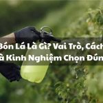 Phân Bón Lá Là Gì? Vai Trò, Cách Dùng Và Kinh Nghiệm Chọn Đúng Cho Cây Trồng