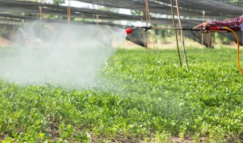 hieu dung ban chat cua phan bon la giup nguoi trong tranh nham lan giua phun qua la va bon goc