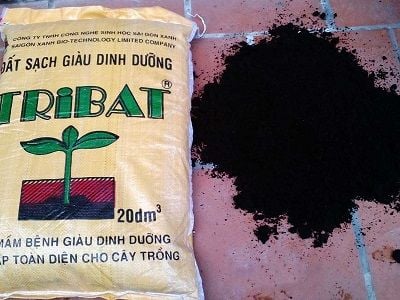 hinh anh thuc te bao dat sach tribat va phan dat trong sau khi mo bao