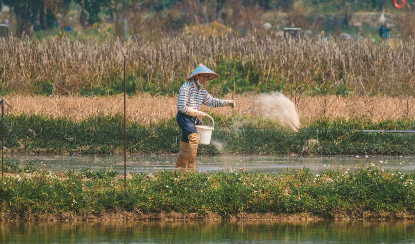 lieu luong vi tri bon va thoi diem su dung phai theo dung nhan cua tung san pham vi sinh